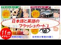 フラッシュカード 日本語英語 メドレー Mix1 赤ちゃんと 子供が喜ぶ はたらくくるま 動物 幼児向けフラッシュカード Japanese & English Flashcards for kids