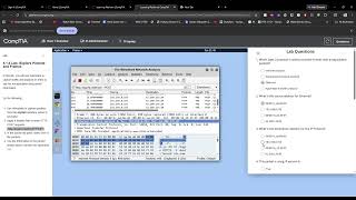 4.1.6 Lab: Explore Packets and Frames