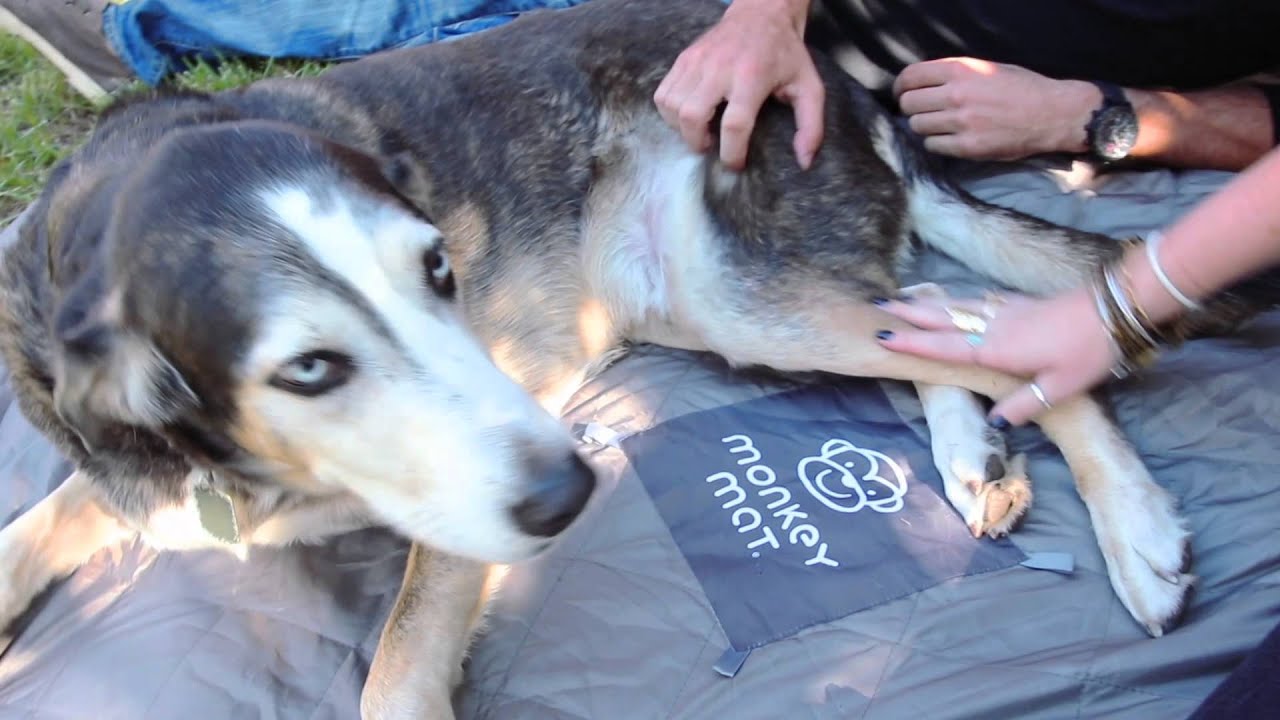 Quilted Monkey Mat Compact Carry for Luxurious Lounge! YouTube