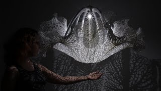 Nervous System Studio Bridges Art, Science, and Tech