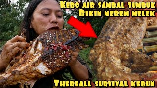 KERBAU AIR BUMBU ASAM MANIS SAMBAL TUMBUK