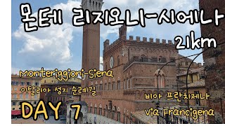 (🇮🇹) Day 7 : 몬테리지오니 - 시에나 / 이탈리아 성지순례길 Via Francigena (Monteriggioni - Siena)