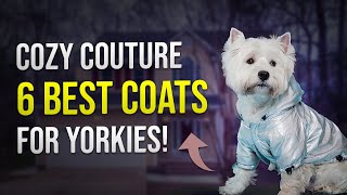 Cozy Couture: 6 Best Coats for Yorkies! 🧥🐾 by PawsPalace 1 view 3 weeks ago 2 minutes, 19 seconds