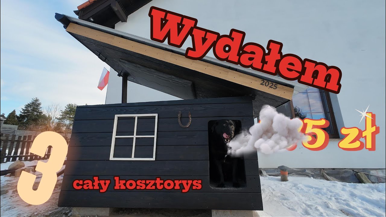 #3 Tak powstała PSIA BUDA KUNDLA - 30 dni pracy ! #doghouse #buda #pies