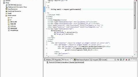 Setting up your JSP environment - 7.1 Validating with JSP