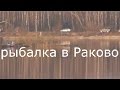 рыбалка в РАКОВО 2017