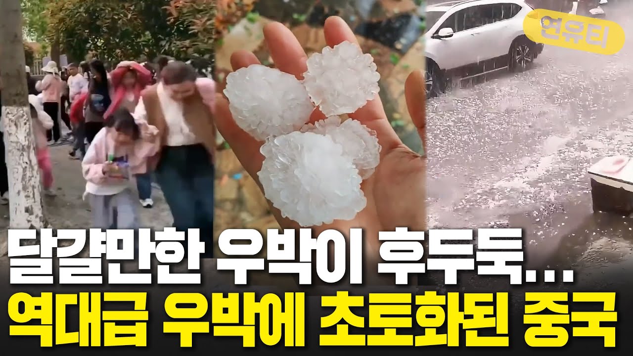 달걀만한 우박이 후두둑…역대급 우박 초토화된 중국 - YouTube