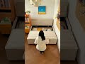 狭い部屋でも快適 瞬時にベッド変形する収納ソファが凄すぎた #ソファベッド
