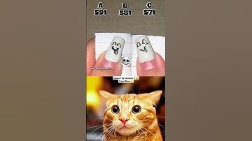 DAY-16 GUESS THE NUMBER ☠️💥 #shorts #tiktok #cat #meme #mrbombastic #popular | MrCatBombastic2.0