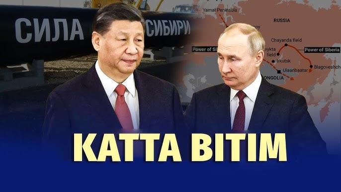 Yaqindan korilgan mushuklar Ular mening mast xotinim qanday sikishgan porno