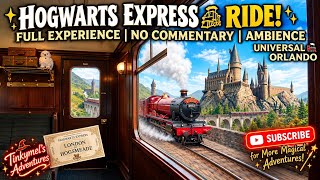 🚂✨ HOGWARTS EXPRESS TO HOGSMEADE! 🏰 #hogwarts #universal #orlando 
