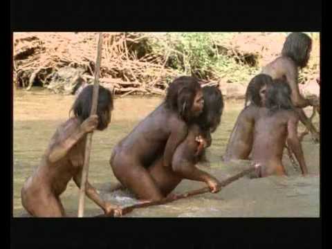 Video: Galveno Pretendentu Uz Cilvēku Senču Lomu Var Izslēgt No Homo ģints - Alternatīvs Skats