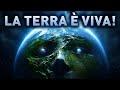 I Pianeti Possono Essere Intelligenti: La Terra Fa Parte Di Questi?