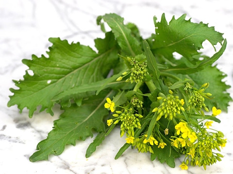 Video: Trimming Broccoli Rabe - Come raccogliere Broccoli Rabe