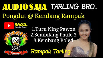 RAGIL PONGDUT - TARLING