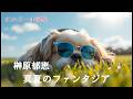 オルゴール 榊原郁恵 真夏のファンタジア Ikue Sakakibara Manatsu no Fantasia Music Box Medlay [睡眠用BGM]