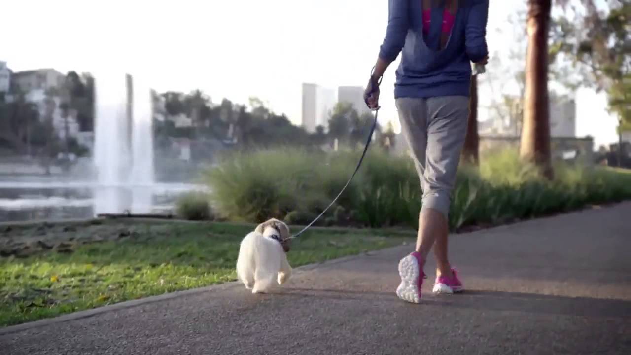 skechers go run commercial with dog