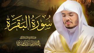 حصن المنزل سورة البقرة كاملة للشيخ د. ياسر الدوسري - Surat Al-Baqarah