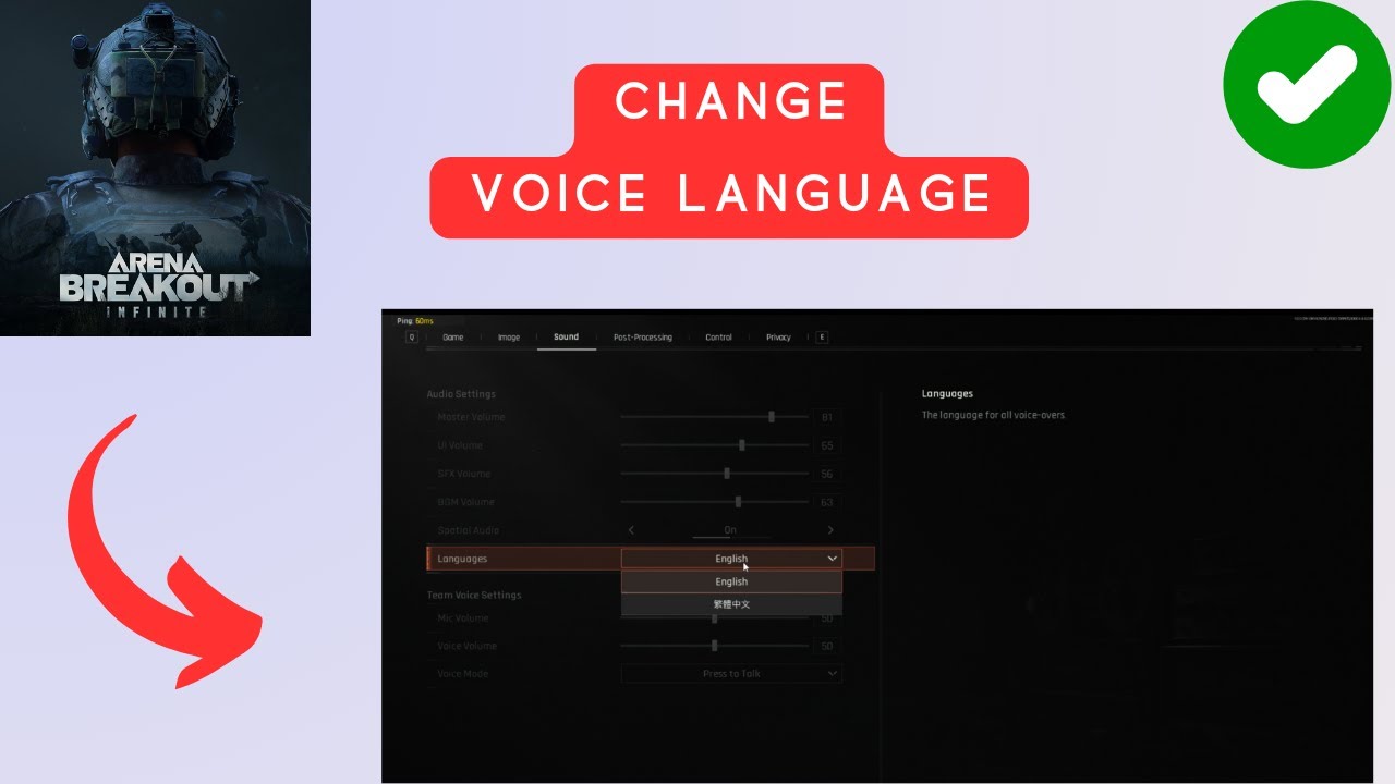 How to Change Voice language in Arena Breakout Infinite - YouTube