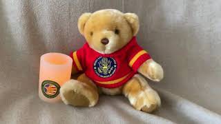 Gold Star Family Kit - Patriotic Plush Pals