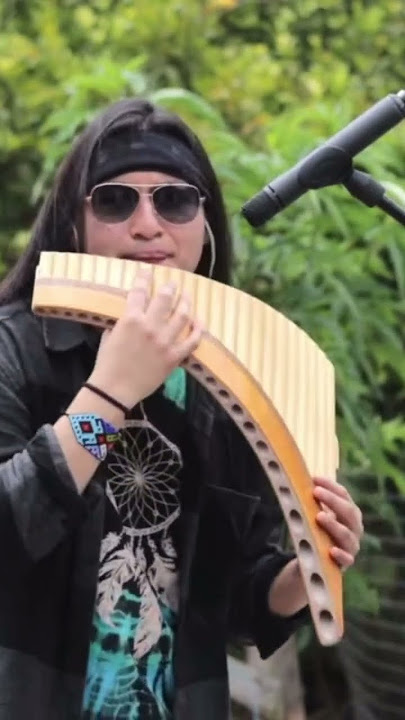 La paloma in panflute