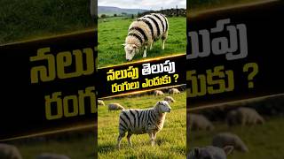 జీబ్రా గీతలు దోమలను భయపెడతాయా? 🦓🐑 Shocking Science Fact Telugu / Voice4Values