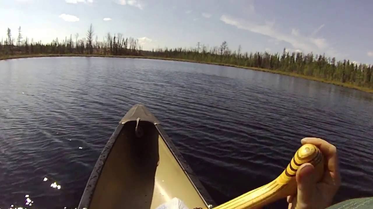 Rock Island Lake - Paddling to creek that flows in from Judd Lake in Weasel Lake PMA in the BWCA