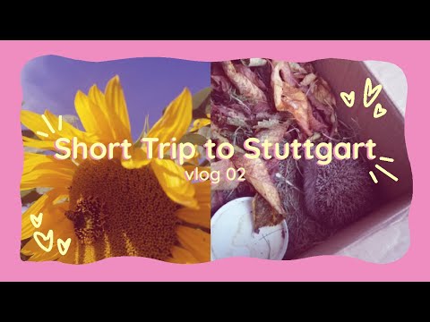 chill vlog: short trip to stuttgart II kriziabel