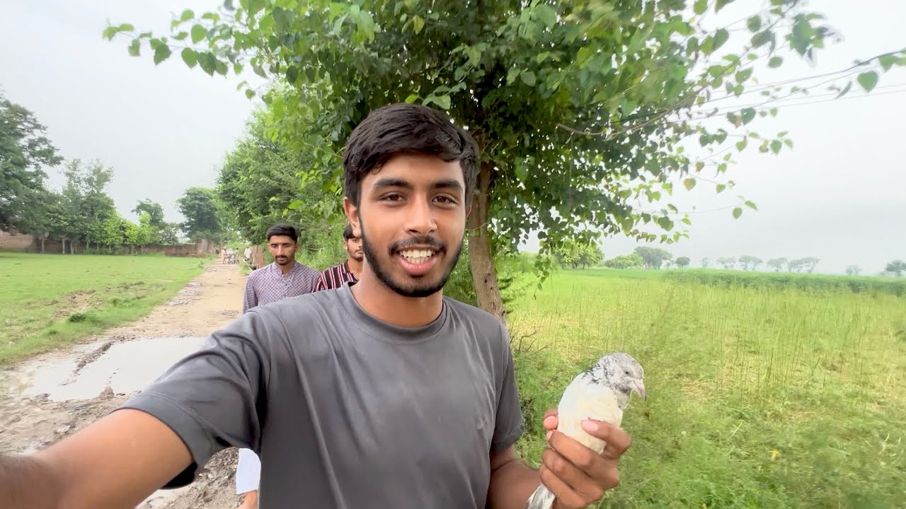 Dawood Ka Kabootar Meel Gaya 😍