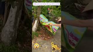 Chắc Xích Mích Từ Lâu Rồi, Nay Mới Có Cơ Hội