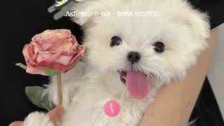 Just Missing You  Emma Heesters s