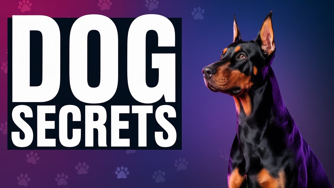 Decoding Dog Language: What Fido's Really Saying