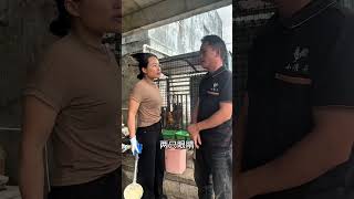 Hilarious Couples' Daily Life: IQ Challenges &amp; Laughter Galore