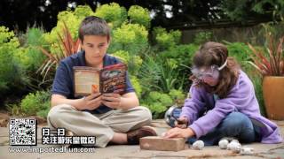 Famous Crack Open 4 Real Geodes – Science Kit! Wealth