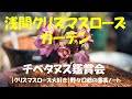 浅間クリスマスローズガーデン 2021.3.14
