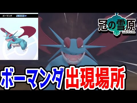 冠の雪原 ボーマンダ出現場所 ポケモン剣盾dlc冠の雪原 Youtube