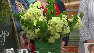 The Ultimate Ladies Day in Downtown Neenah