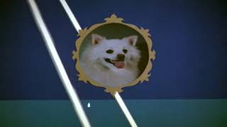 Tina Films International 1991