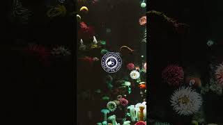 Night Ocean | Future Bass Deep Instrumental for Commercials &amp; Ads | Cosmonkey