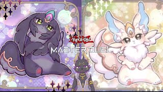 ピュアリィでレート戦に挑む！【遊戯王マスターデュエル】