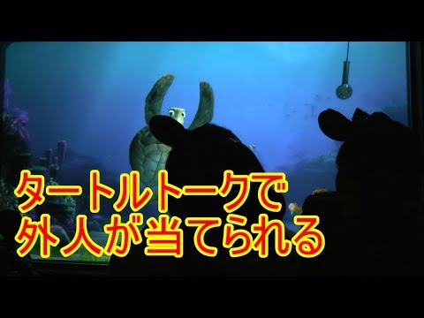 また 外国人が当てられるとこうなる タートルトーク 東京ディズニーシー Youtube また 外国人が当てられるとこうなる タートルトーク 東京ディズニーシー Youtube