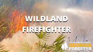 Wildland Firefighter | Georgia Forests II