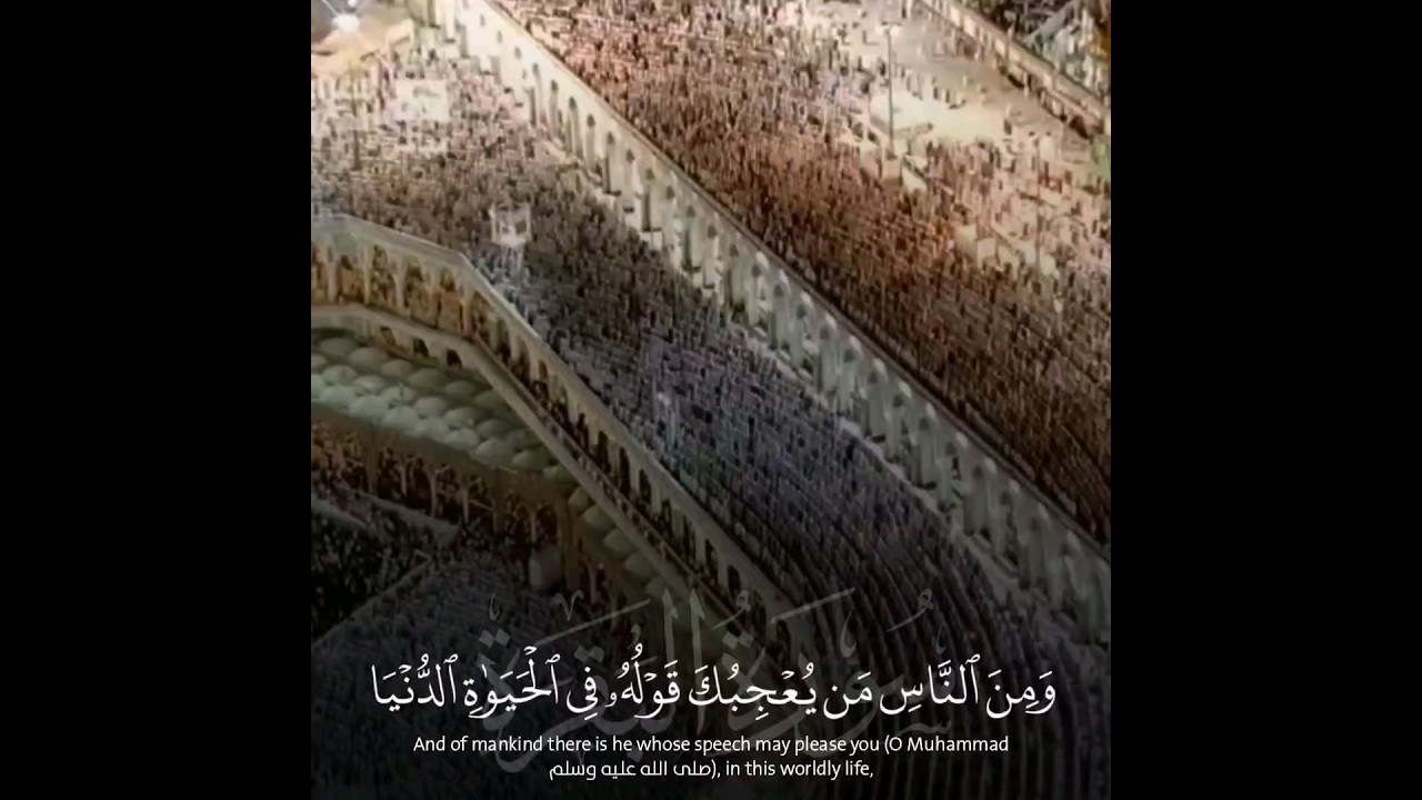 {ومن الناس من يعجبك قوله في الحياة الدنيا..} تلاوة خاشعة من سورة البقرة للشيخ أ.د #سعود_الشريم