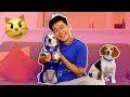 CATS vs DOGS | Smile Squad