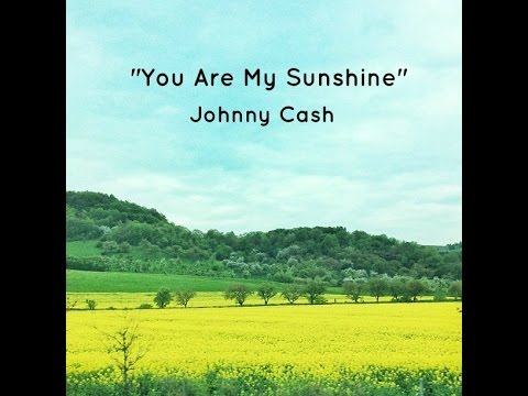 You Are My Sunshine {tradução} 