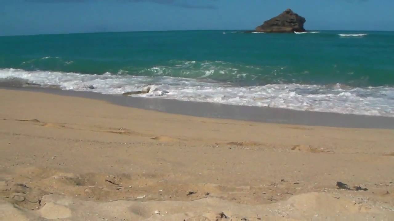 Antigua Eden Beach Sand Crab You Antigua Eden Beach Sand Crab