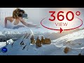 360° VR Relax and Fly