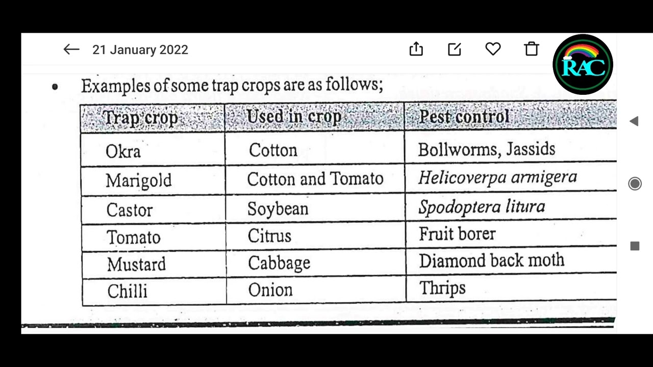 Different traps crops are using to different field crops in Agriculture