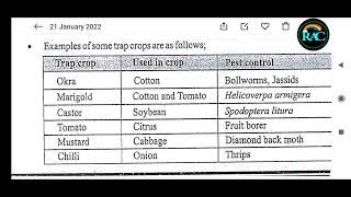 Different traps crops are using to different field crops in Agriculture