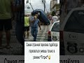 Самая странная парковка года #животные #мемчик #ютуб #мемы #майнкрафт #смешно #юмор #ютубшортс